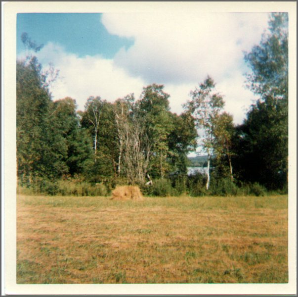 Fall Harvest.jpg