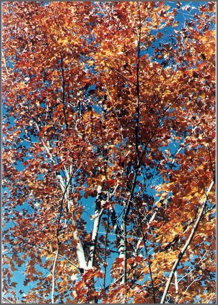 Fall_at_the_Farm_4.jpg