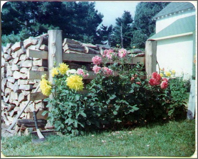 Flowers2.jpg