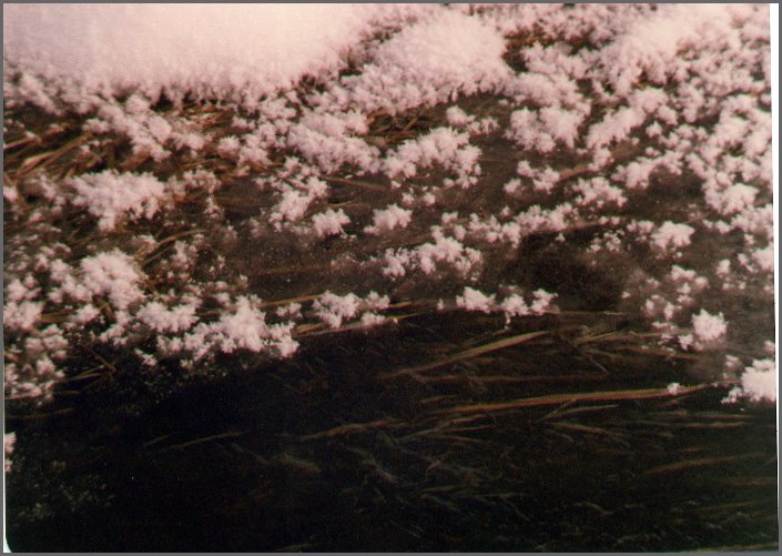 Frozen_Creek_1978.jpg