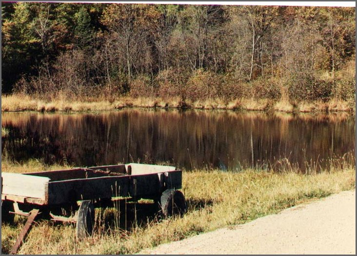 Wagon_by_the_pond.jpg