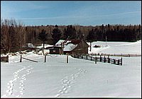 Barn_Jan_88.jpg