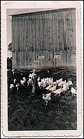 Eric_Feeding_Chickens.jpg