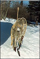 Snow_Shoes.jpg