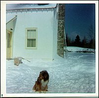 Snuffy in Winter.jpg