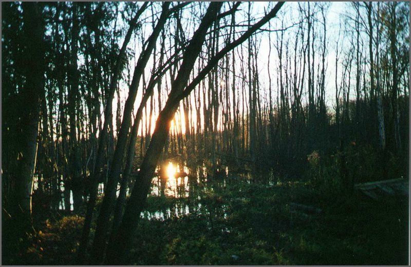 Fall 2001.jpg