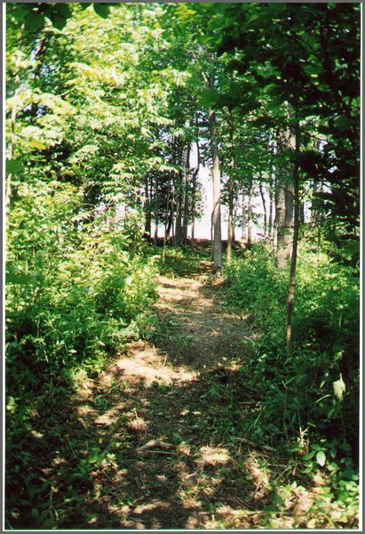 Wolfe_Lakeshore3.jpg