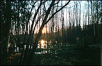 Fall 2001.jpg