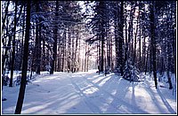 Lake_Road_In_Winter.jpg