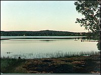 Wolfe Lake - Brents Lot.jpg