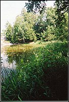 Wolfe_Lakeshore.jpg