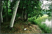 Wolfe_Lakeshore2.jpg