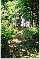 Wolfe_Lakeshore3.jpg