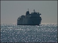 HPIM1211.JPG