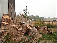 HPIM1269.JPG