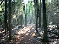 HPIM1342.JPG