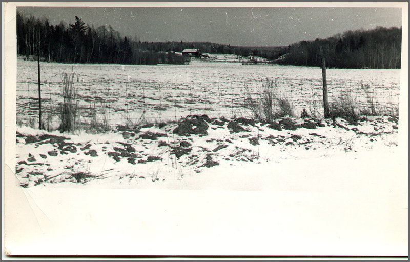 B&W - 4.jpg