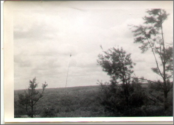 B&W - Berry Picking By Nipissing.jpg