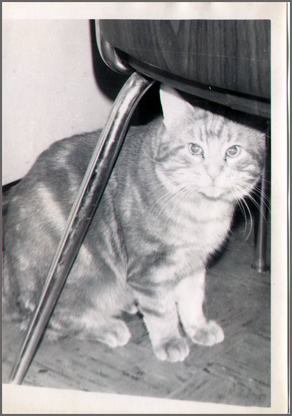 B&W - Big Red.jpg