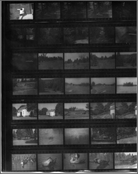 B&W - Contact 4.jpg