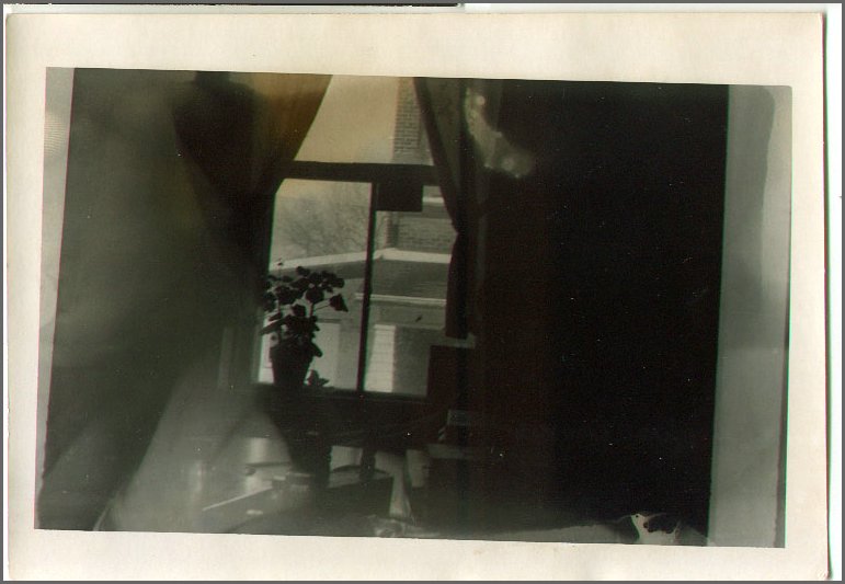 B&W - Kitchen Window.jpg