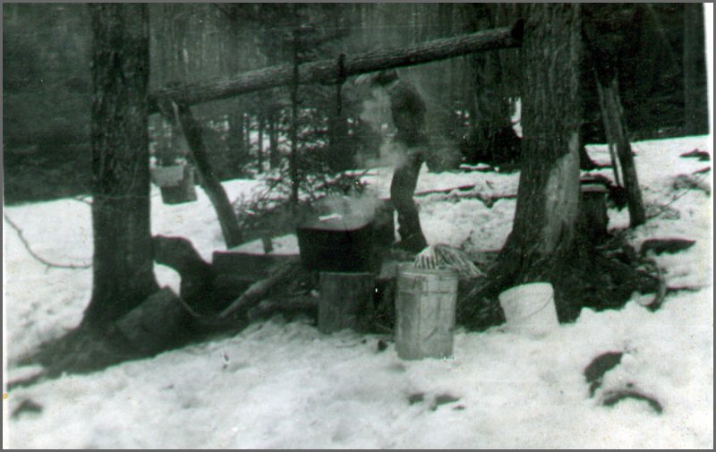 B&W - Maple Syrup time.jpg