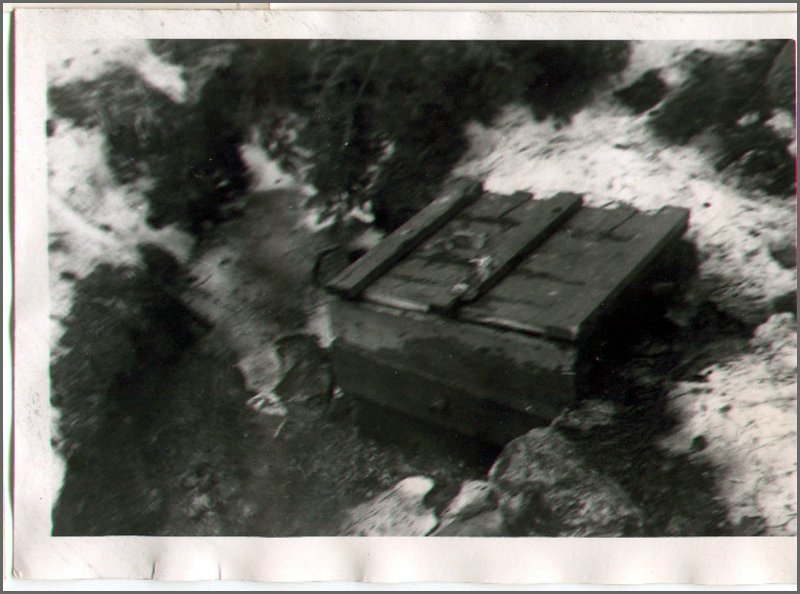 B&W - Powassan Spring.jpg