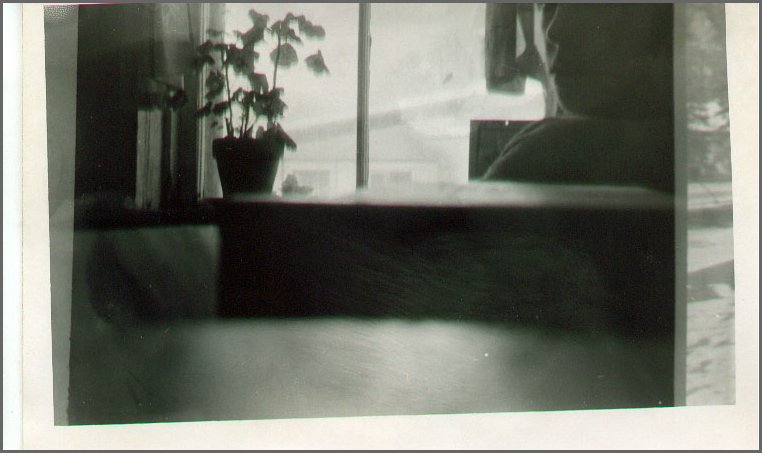 B&W - Whos this in the Kitchen.jpg