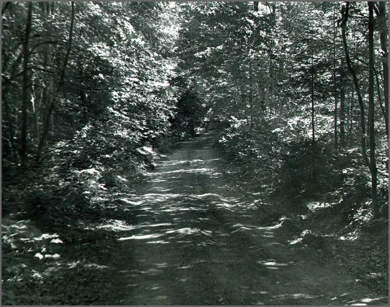 B&W_6.jpg