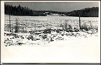 B&W - 4.jpg