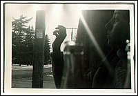 B&W - 5.jpg