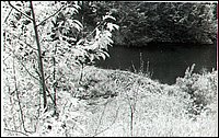 B&W - Beaver Dam.jpg