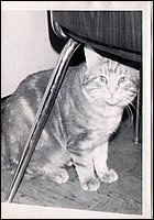 B&W - Big Red.jpg