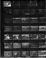B&W - Contact 4.jpg
