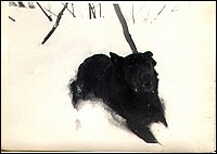 B&W - Dog.jpg