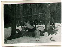 B&W - Maple Syrup1.jpg