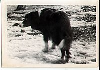 B&W - Skippy 1.jpg