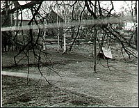 B&W - Williamson's Yard.jpg
