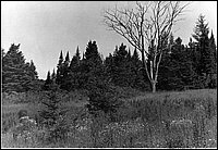 B&W_10.jpg
