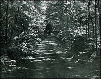 B&W_6.jpg