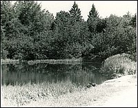 B&W_7.jpg