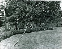 B&W_8.jpg