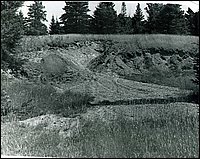 B&W_9.jpg