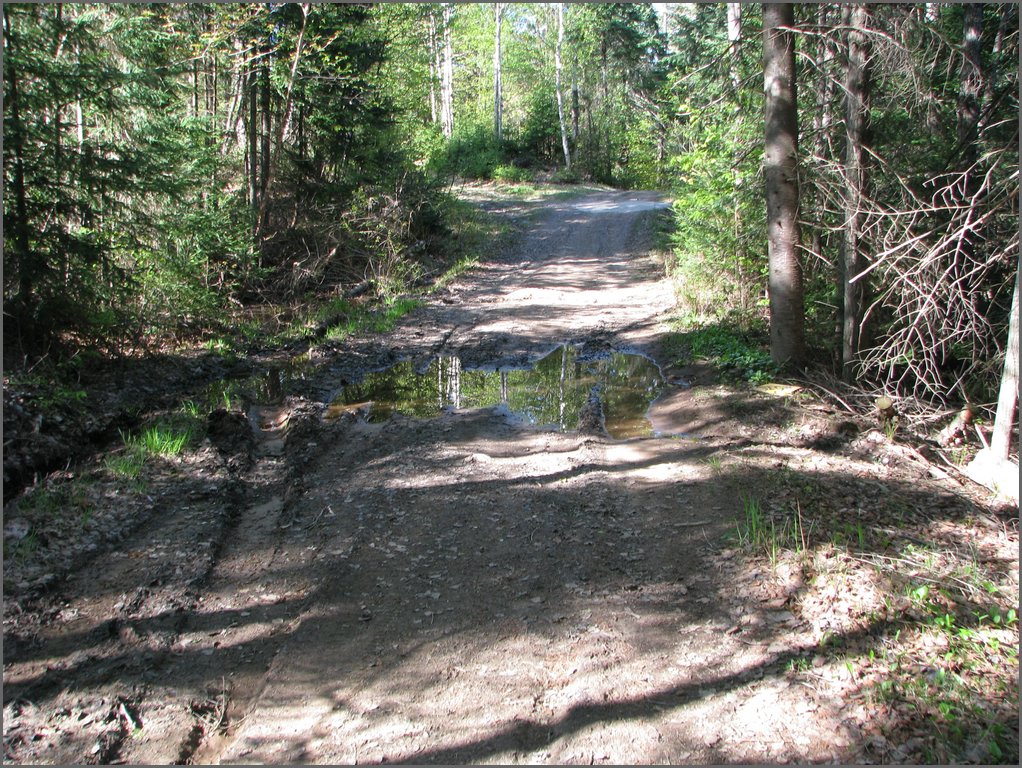 CF100 Crash Site May 2008 01.JPG