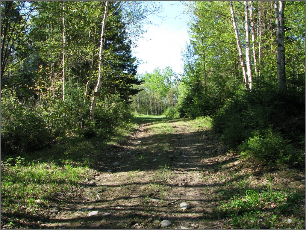 CF100 Crash Site May 2008 02.JPG