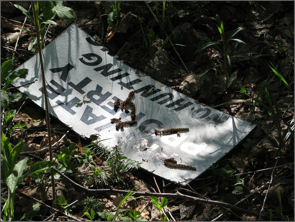 CF100 Crash Site May 2008 03.JPG