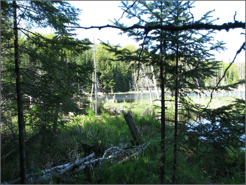 CF100 Crash Site May 2008 07.JPG