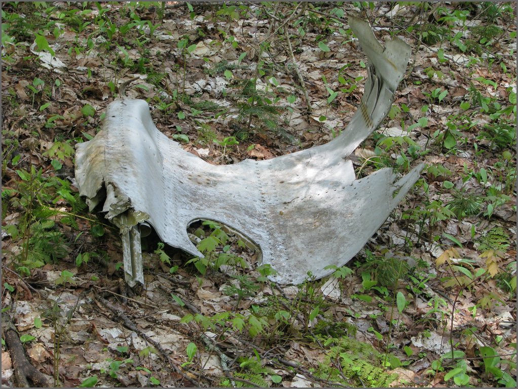 CF100 Crash Site May 2008 10.JPG