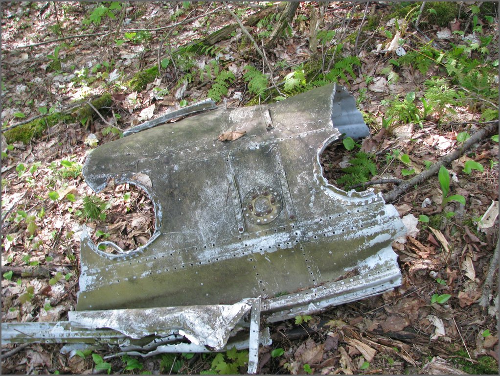 CF100 Crash Site May 2008 13.JPG