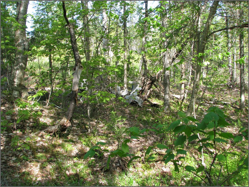 CF100 Crash Site May 2008 14.JPG